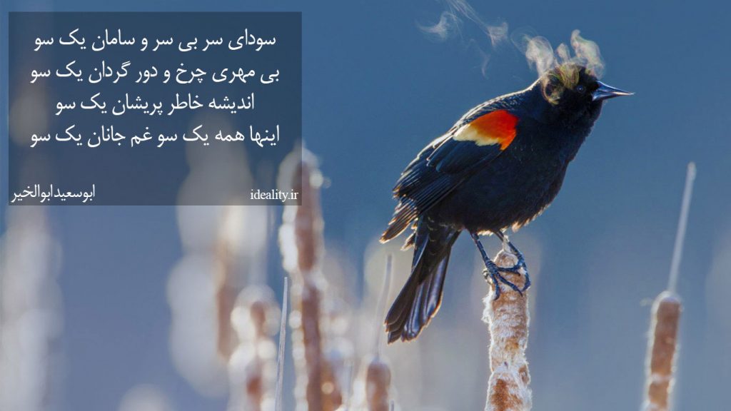 سودای سر بی سر و سامان یک سو