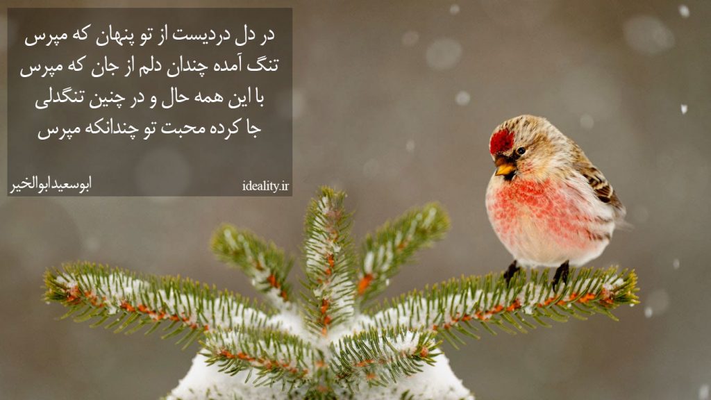 در دل دردیست از تو پنهان که مپرس