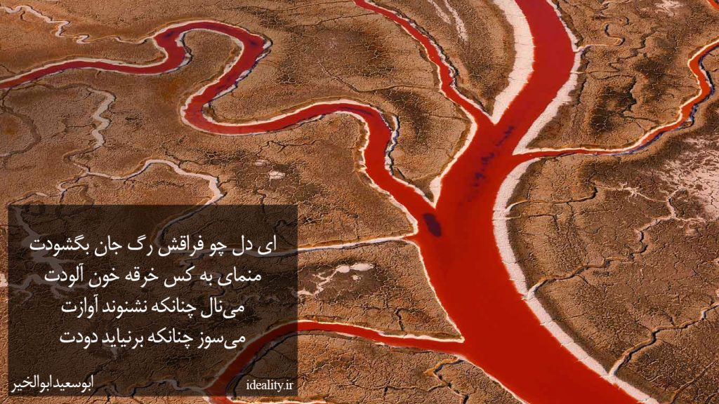 ای دل چو فراقش رگِ جان بگشودت